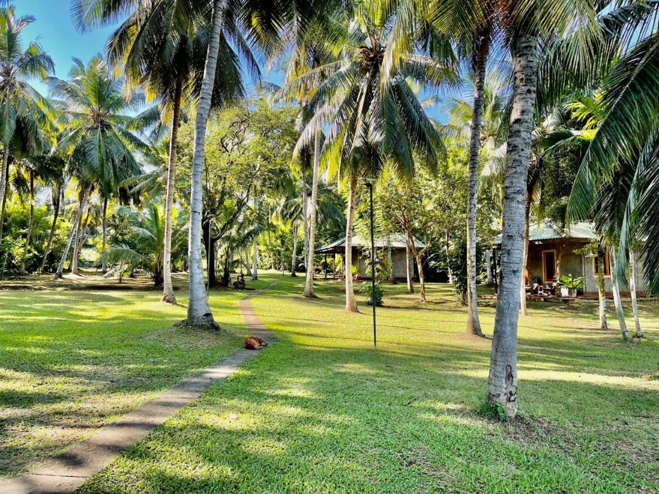 Udawalawa Safari Resort Udawalawe Exteriör bild