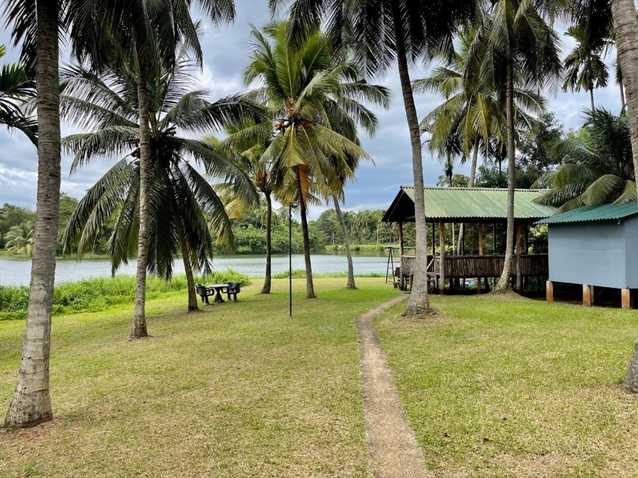 Udawalawa Safari Resort Udawalawe Exteriör bild