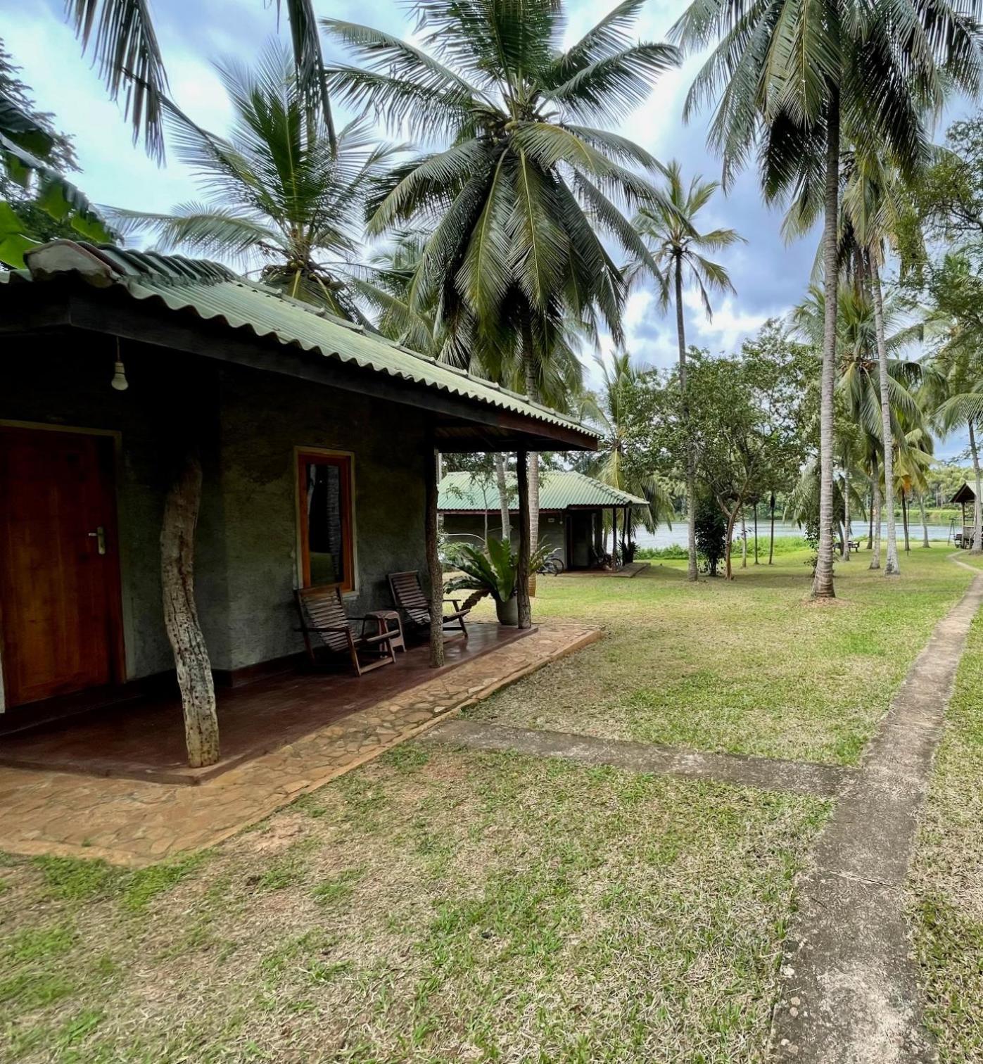 Udawalawa Safari Resort Udawalawe Rum bild